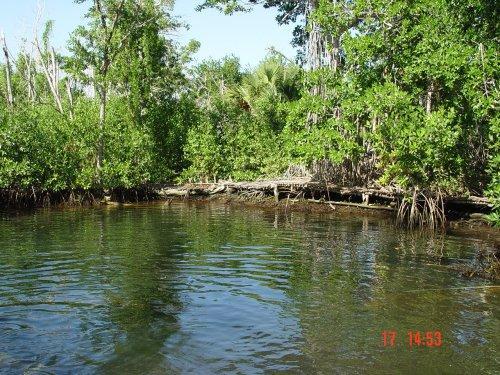 Field trip and discussions with community groups in Ramsar Site Dzilam de Bravo State Reserve.