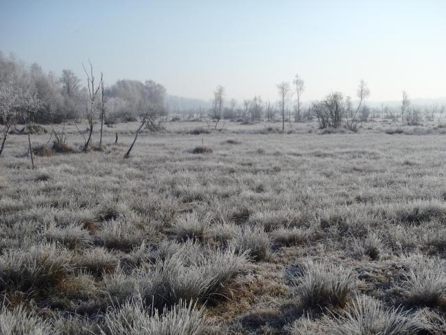 Les Marais de Sacy en hiver