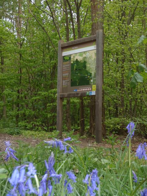 Panneau d'informations sur le sentier forestier ouvert au public