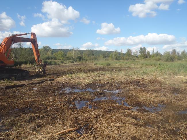 Travaux de déboisement dans les Marais de Sacy