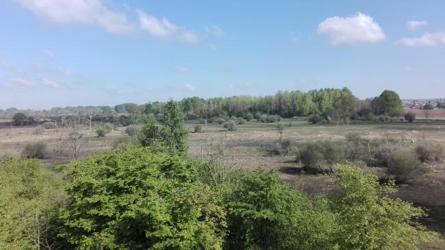 Les Marais de Sacy vus de la tour d'observation