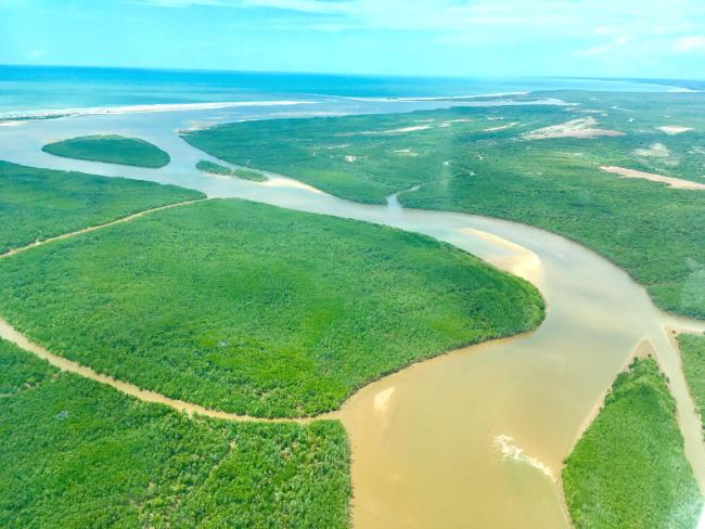 Mangroves de Tsiribihina