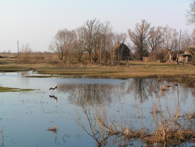 Almost annually the Pripyat floodplain and adjacent villages get flooded. 