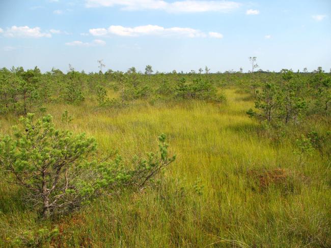 Morochno Ramsar Site