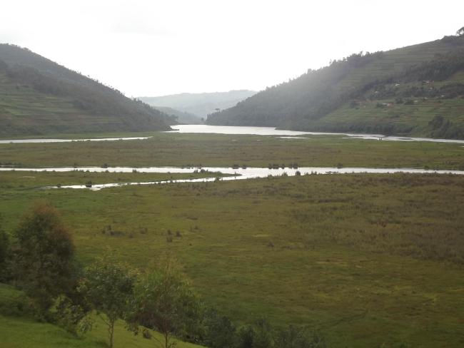 Rugezi picture 
