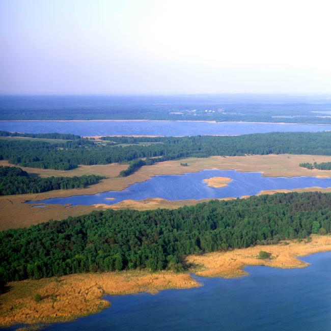 Ostufer der Müritz