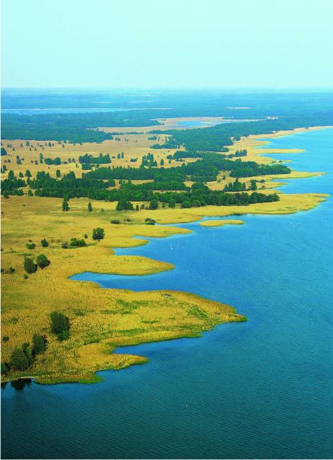 Ostufer der Müritz Luftbild