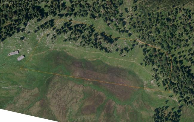 Aerial view of Bayerische Wildalm