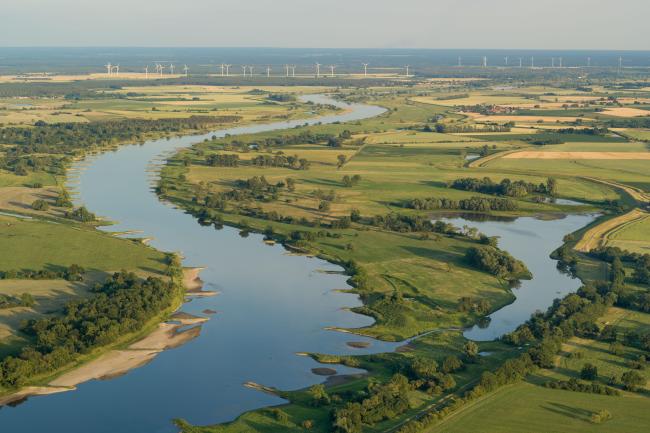 Elbeaue Bölsdorf