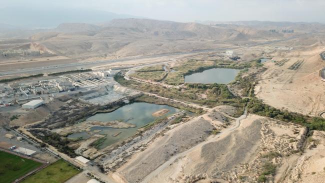 Al Ansab wetland overview 