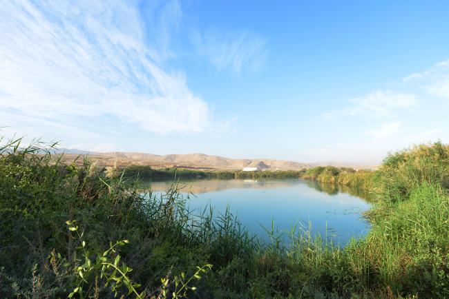 main lagoon at the wetland 