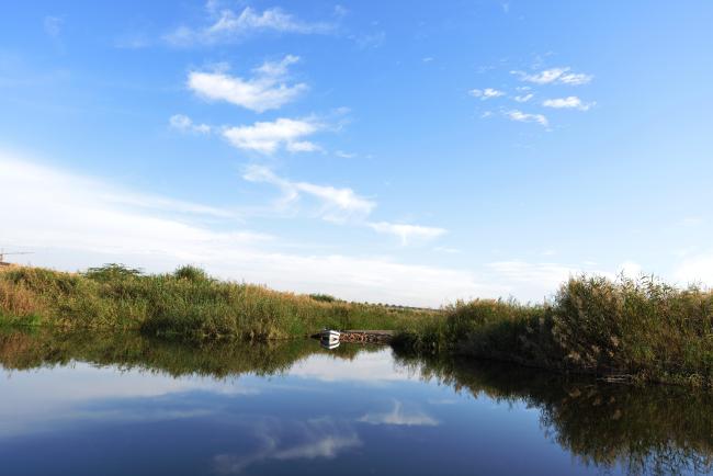 Lagoon at the wetland 