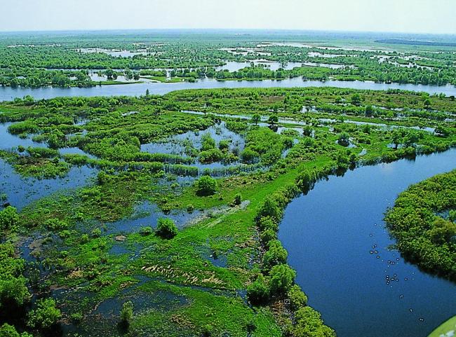 Middle Pripyat
