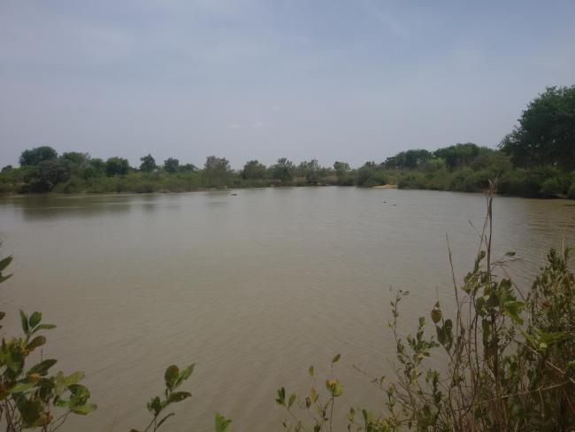 Mare Yanguali dans la plaine d’inondation de la Rivière Pendjari