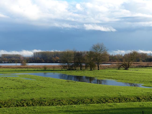 Prairie inondée 