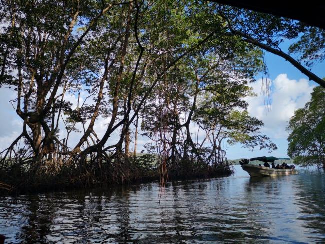 Parque Nacional Jeanette Kawas 