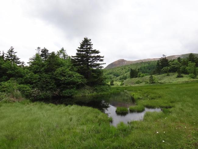 Yoshigadaira moor ponds