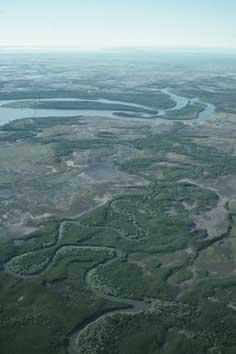 Date unknown. Bowling Green Bay is characterised by coastal plain covered in tidal mudflats, mangrove forest and salt marshes (Photo DEWHA) 