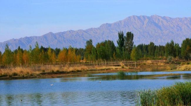 Wetland landscape
