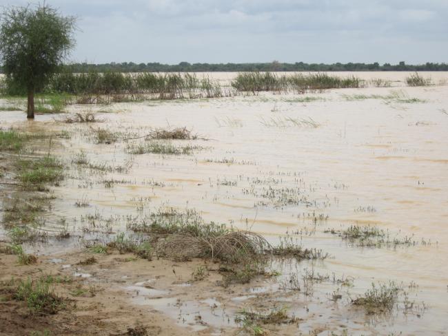 Photo 1: Vue du plan d'eau