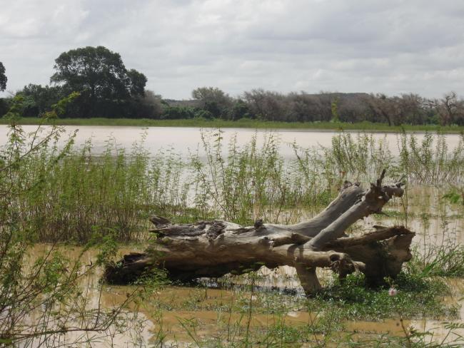 Photo 3 : Paysage autour du site