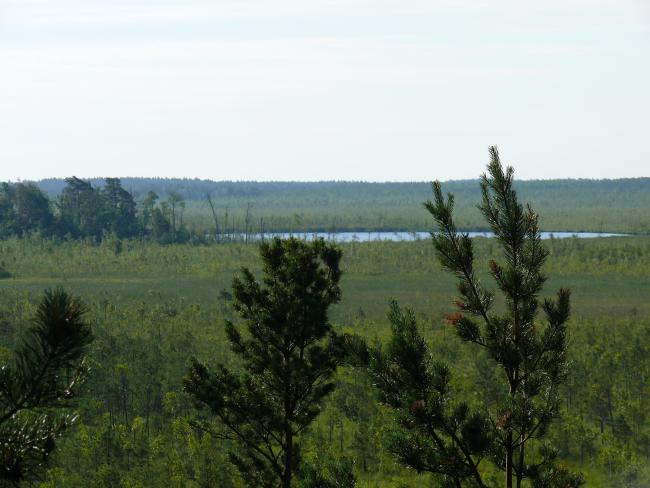 Cheremske Bog and Lake Cheremske 
