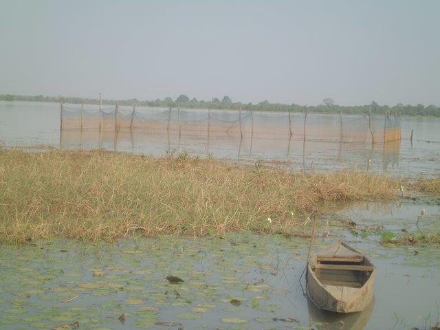 Enclos de pisciculture dans le lac 