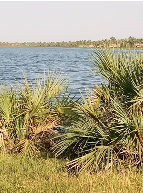Lac Guidimouni