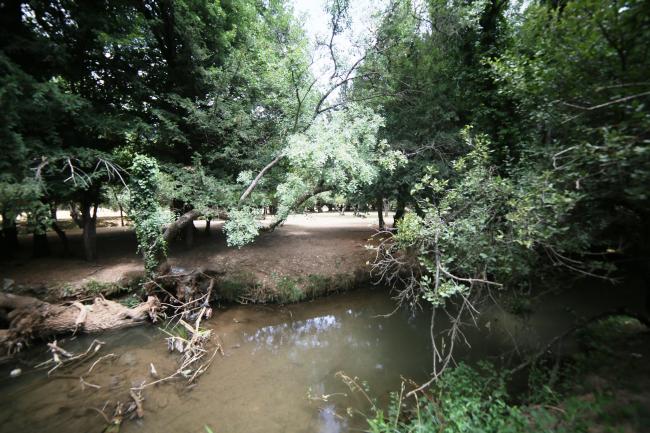O. Tizguite en aval d'Ifrane : oued ombragé et à écoulement lent