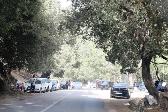 O. Tizguite en aval d'Ifrane : des centaines de véhicules stationnent le long de la route