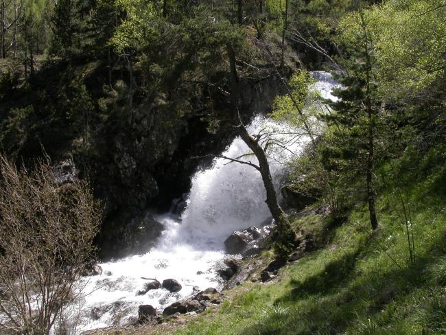 Salt d'aigua del riu Pollós