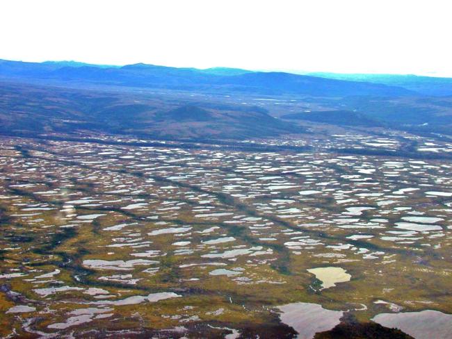 Turbera en Valle del río López (costa sur) con abundantes lagunas. Se destaca el bosque en galería en márgenes de los afluentes que cruzan el valle en dirección prácticamente paralela.