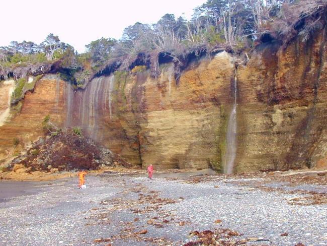 Costa de bahía Slogget, donde la turba fluye para desplomarse sobre la playa. Se aprecia un abundante drenaje no encauzado procedente de la turbera.