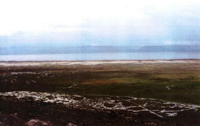 Bofedales, pampa y espejo de agua de la Reserva.