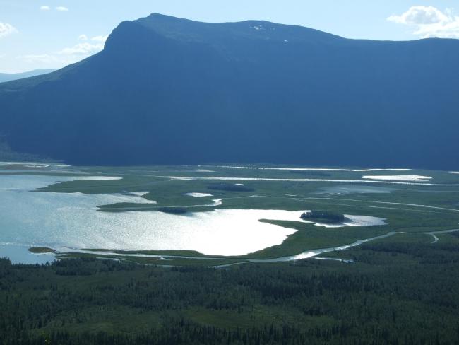 The Laidaure delta.