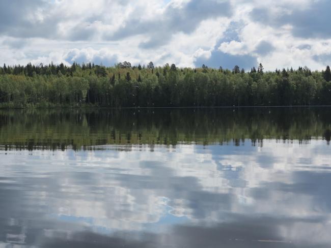 Gammelstadsvikens nature reserve