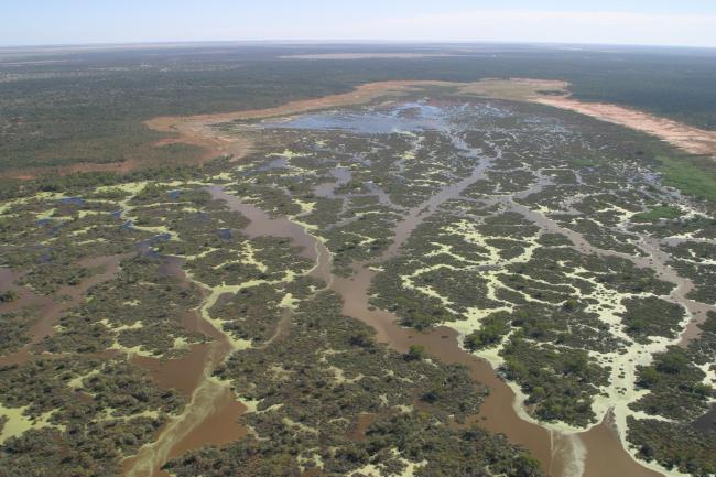 Narran Lake from the air