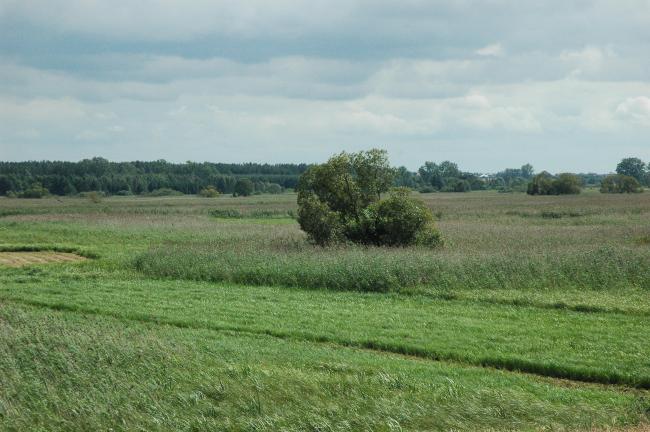 Narew River Valley near Bokiny Village