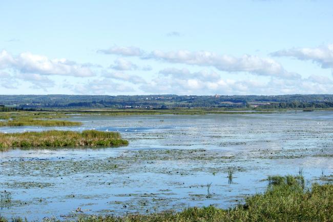 Drużno Lake