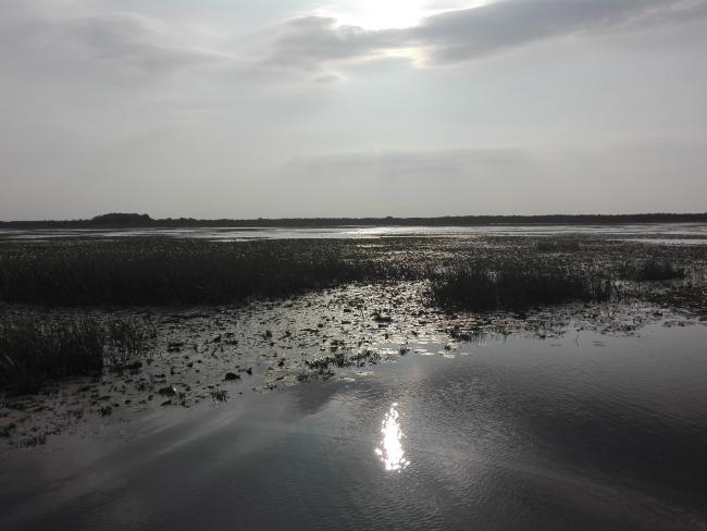 Drużno Lake