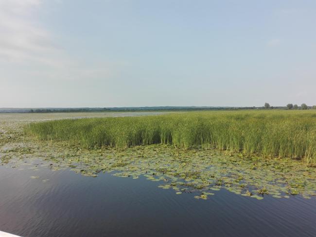 Drużno Lake
