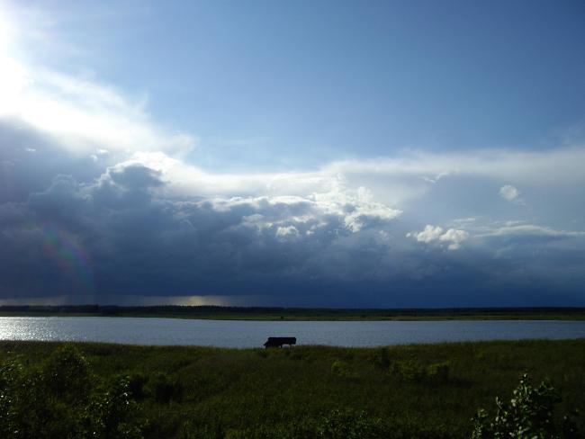 Swidwie Lake Nature Reserve