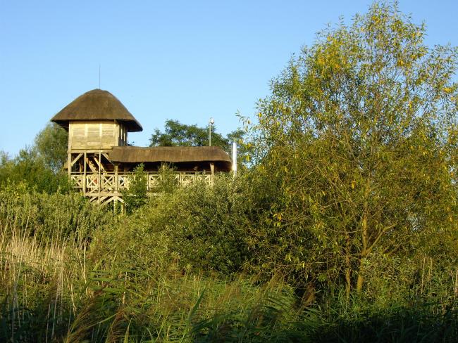 Swidwie Lake Nature Reserve
