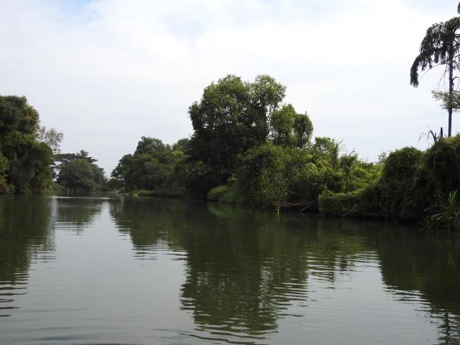 Ranganathittu Habitat
