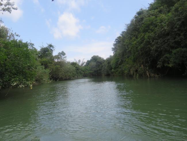 Ranganathittu Habitat