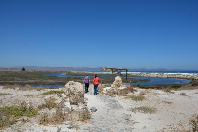 Humedal Salinas Chica