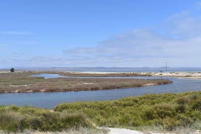 Humedal Salinas Chica
