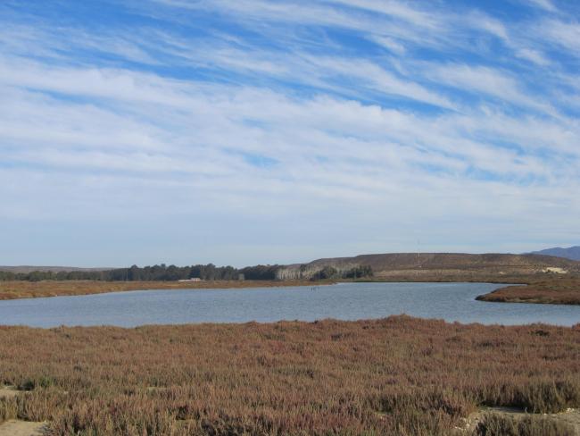 Humedal Salinas Grande