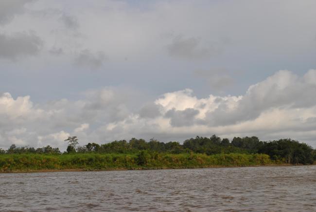 Navigation sur le fleuve Nyanga