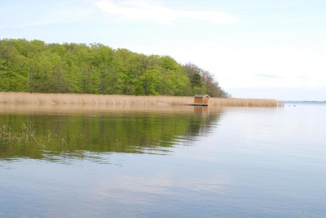 Tromtö nature reserve, in the middle part of the site (Listerby skärgård).